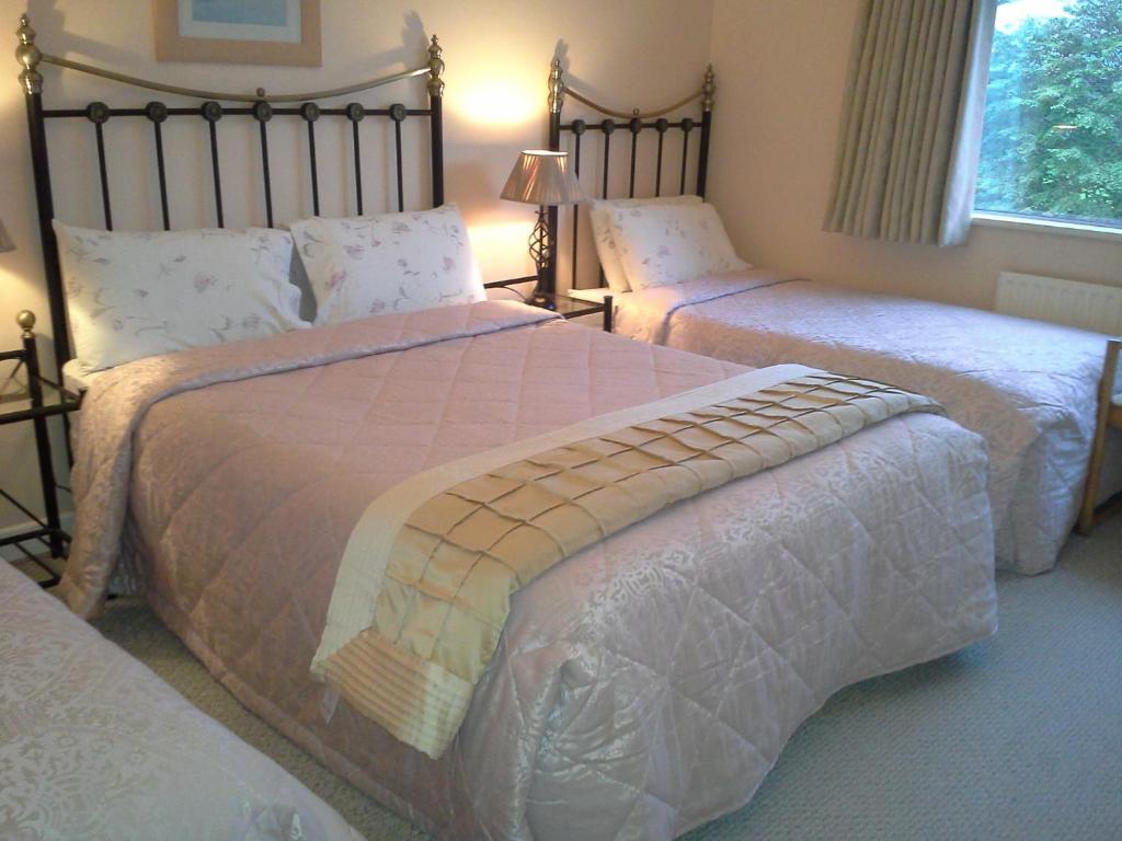 Fern Rock Bed And Breakfast Dromin ห้อง รูปภาพ
